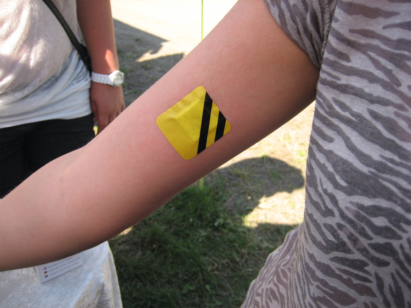 Bee-Patch Bienen- und Wespenpflaster (A)