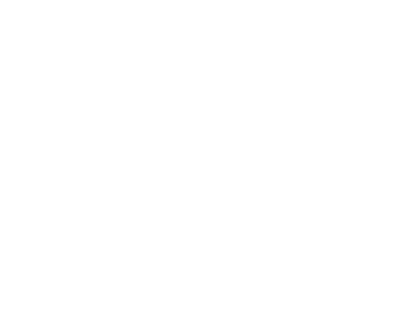 Travel-Line Solarmodul MT-SM 65 TL(S)(A)