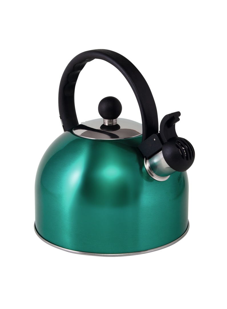 Flötenkessel Edelstahl Türkis 2 l (A)
