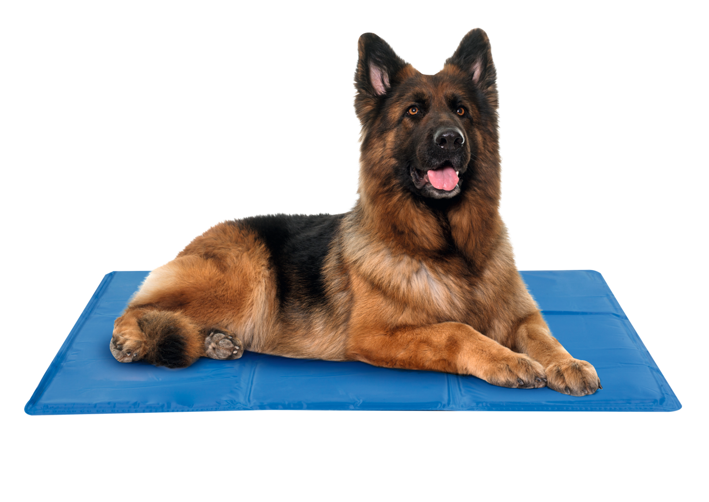 Hunde-Kühlmatte L (A)