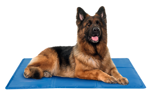 Hunde-Kühlmatte L (A)