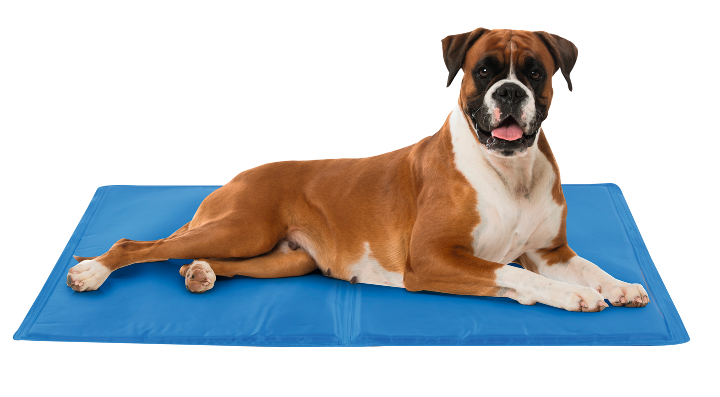 Hunde-Kühlmatte XL (A)