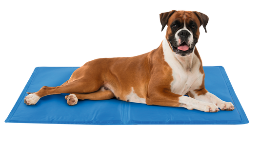 Hunde-Kühlmatte XL (A)
