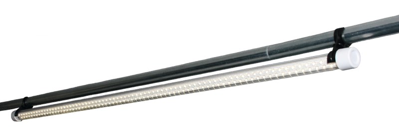 Vorzelt-LED-Leuchte 100 cm (A)