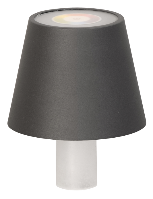 Flaschenlampe FIOCCO grau RGB