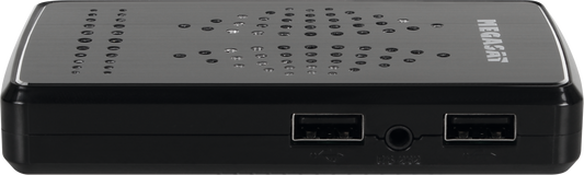 Receiver HD Stick 310 V2 (B)